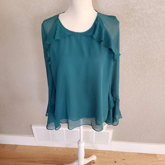 Chelsea ruffled long sleeve blouse size Medium  New with tags - Picture 4 of 11